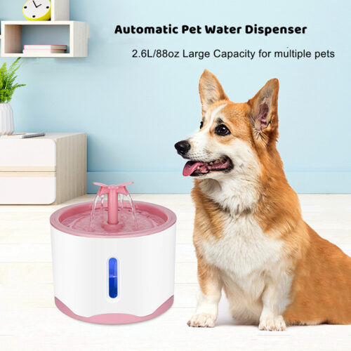 Pet Water Fountain