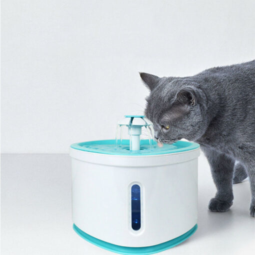 cat water fountain large capacity