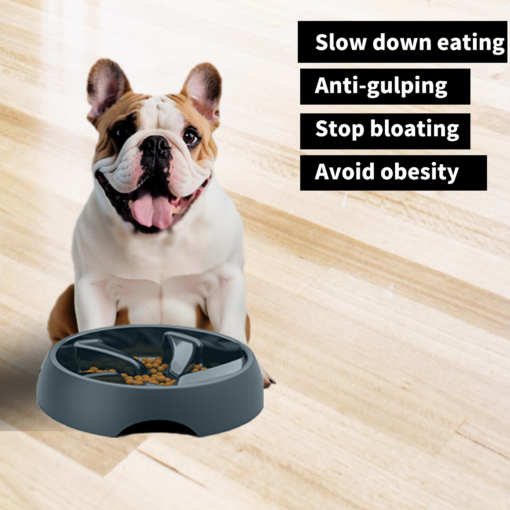 slow feeder dog bowls for english bulldogs